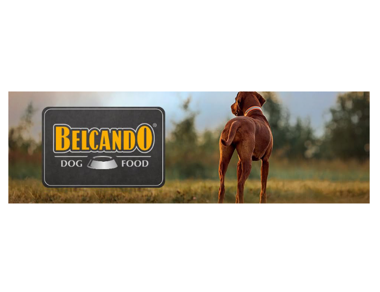 Belcando Logo