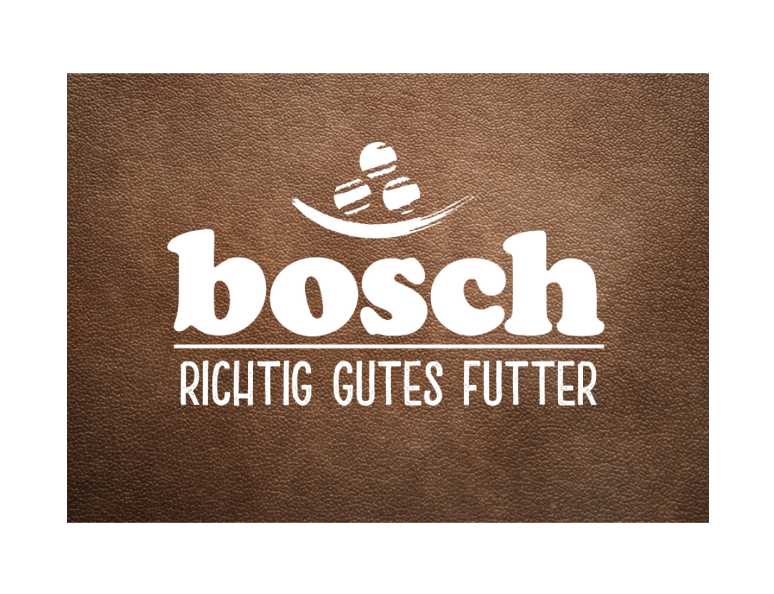 Bosch Logo