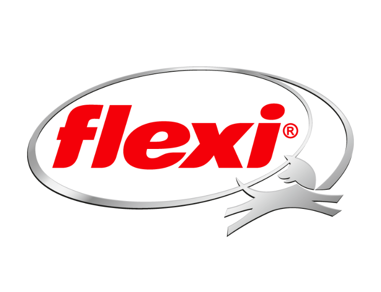 Flexi Logo