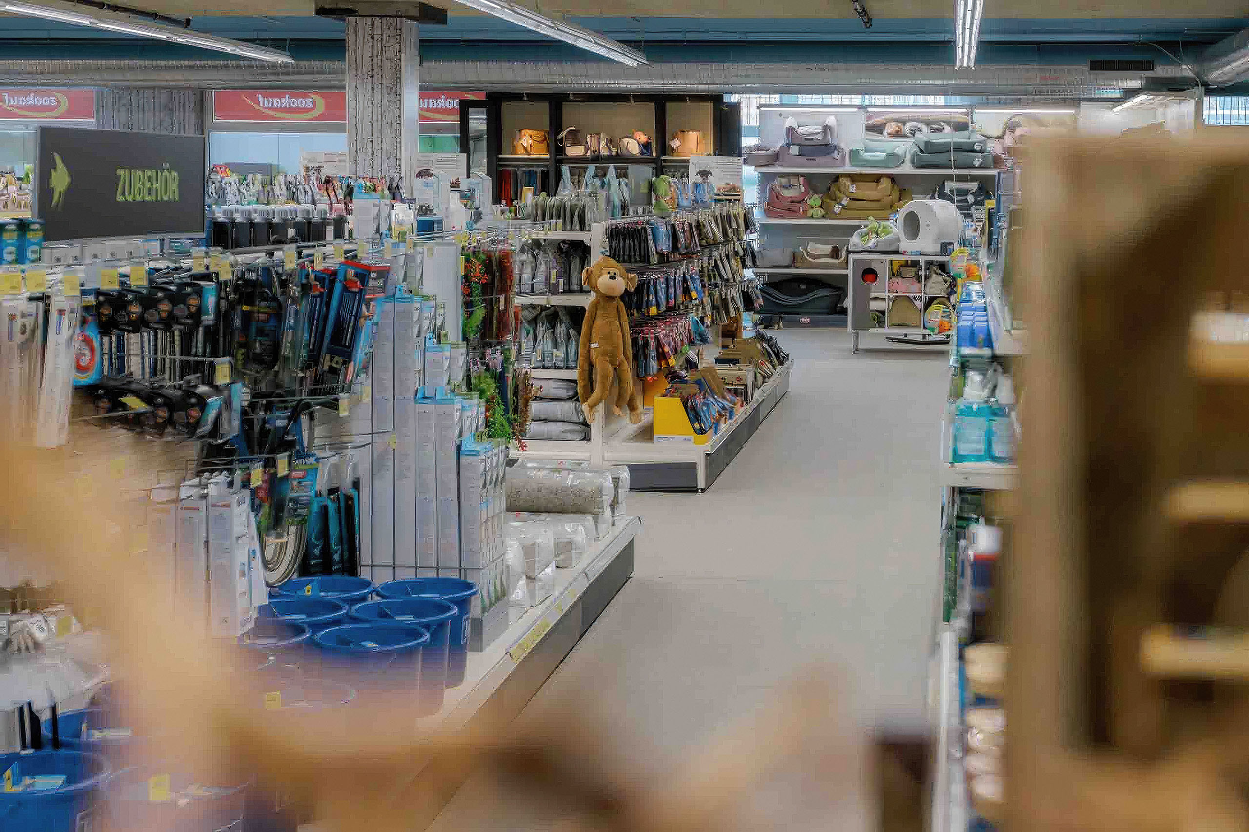 Innenbereich Zoohandlung